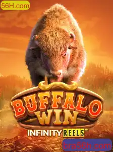 BuffaloWin: A Aventura de SaGame através do 56H.com